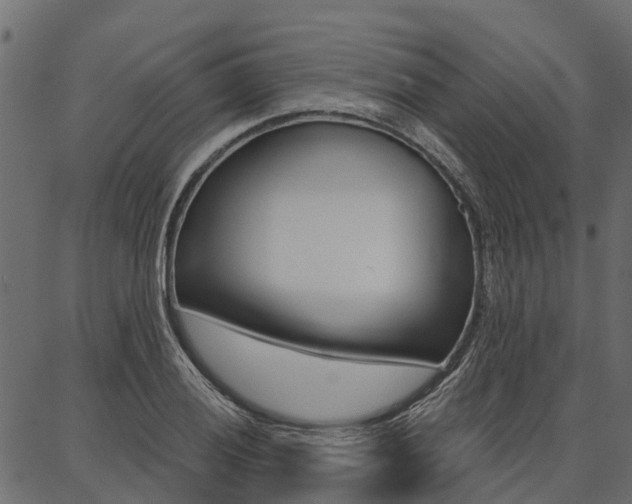 X0000087041028200704180932