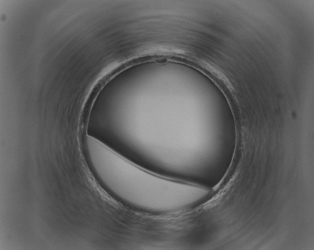 X0000087041029200704180932