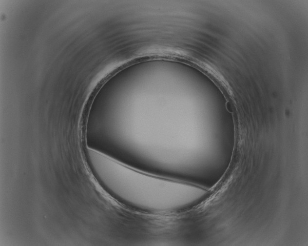 X0000087041037200704180932