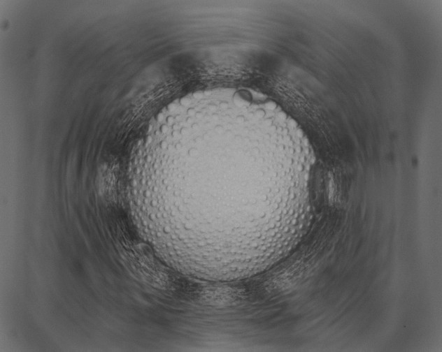 X0000087041059200704180931
