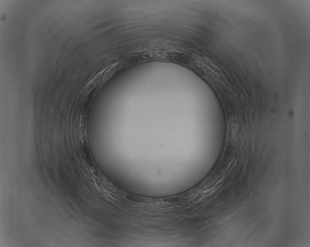 X0000087041060200704180931
