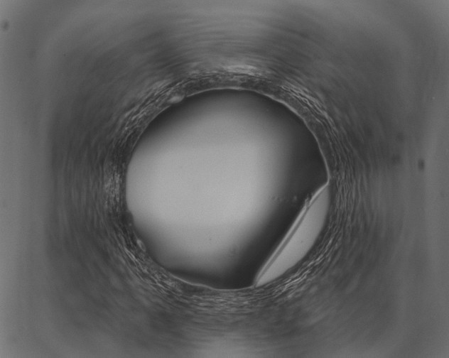 X0000087041061200704180931