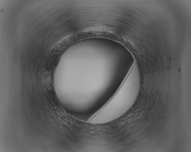 X0000087041062200704180931