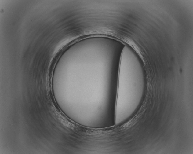 X0000087041072200704180931