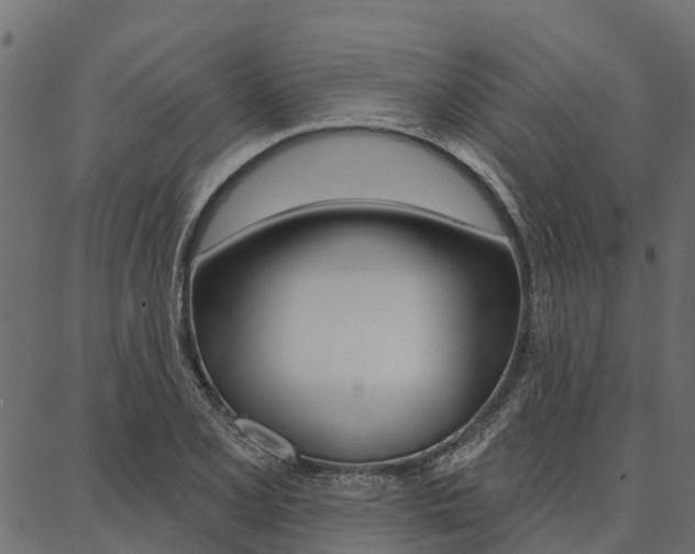 X0000087041077200704180931