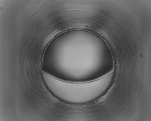 X0000087041081200704180931