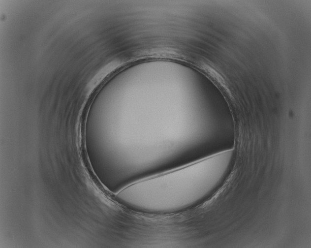 X0000087041082200704180931