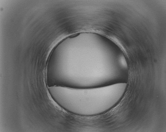 X0000087041100200704180931