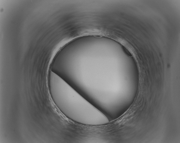 X0000087041104200704180931