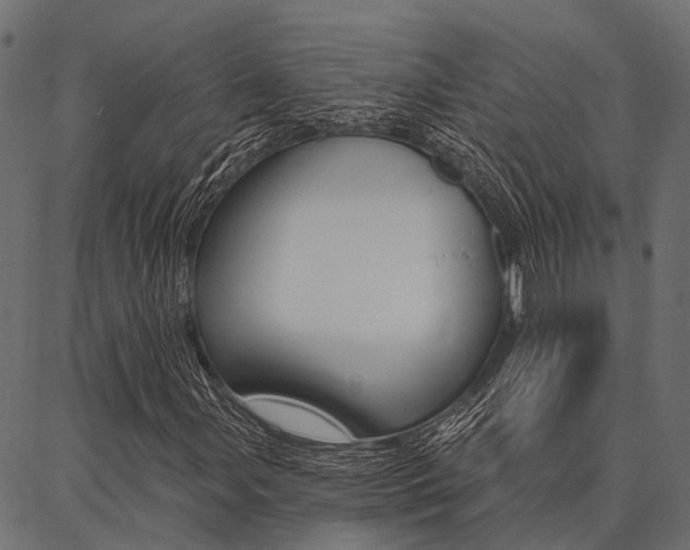 X0000087041107200704180930