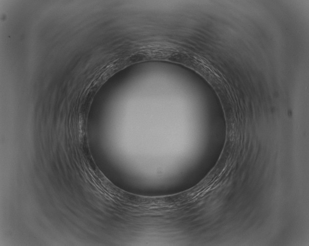 X0000087041108200704180930