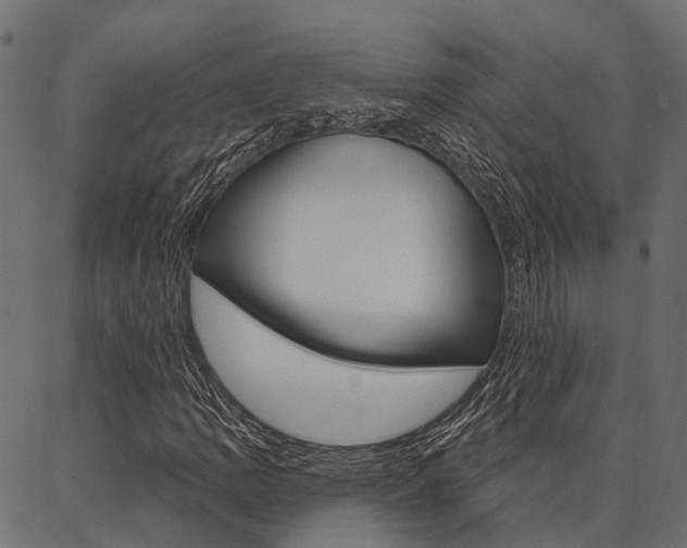 X0000087041109200704180930