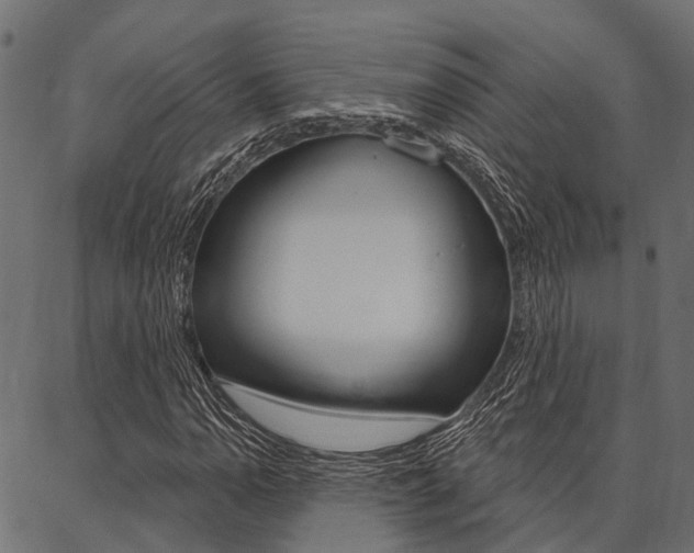 X0000087041110200704180930