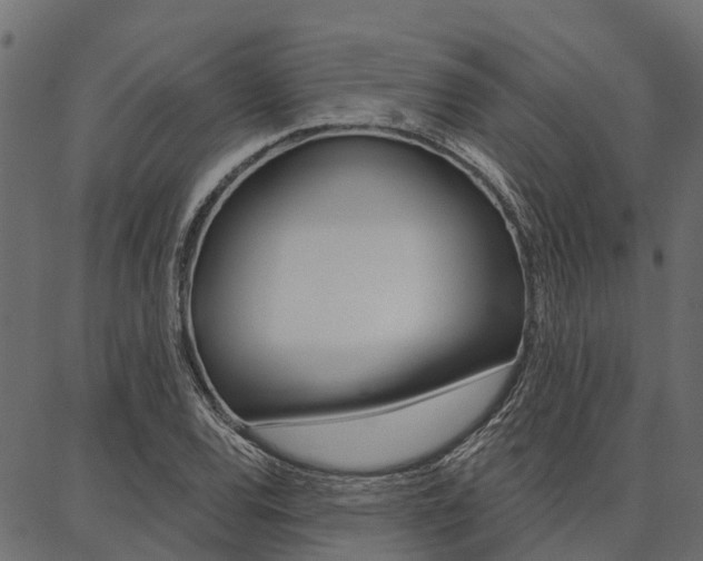 X0000087041120200704180930