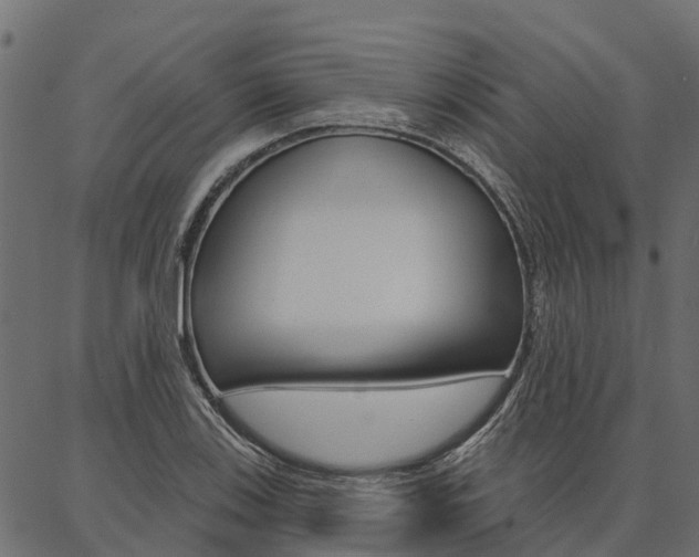 X0000087041123200704180930