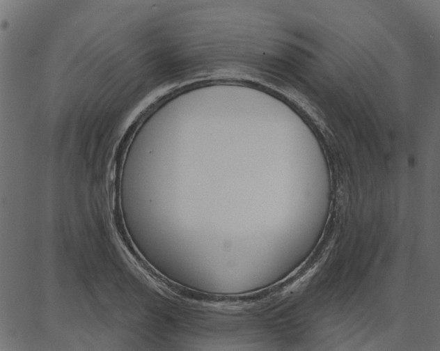 X0000087041126200704180930