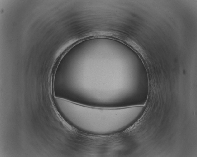X0000087041127200704180930