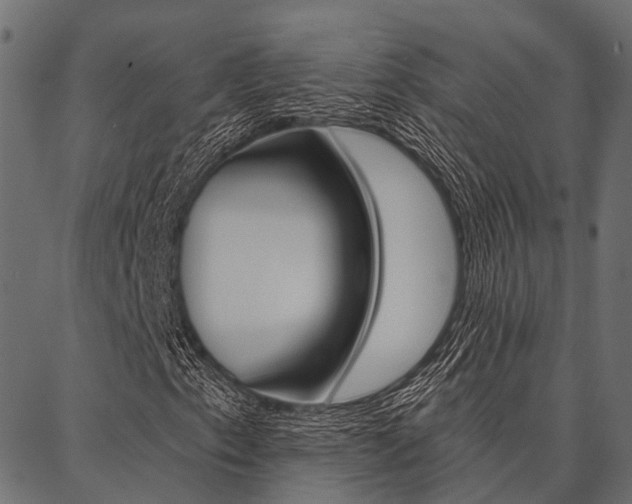 X0000087041153200704180930