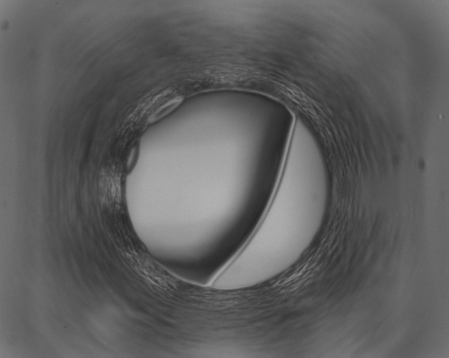 X0000087041155200704180930