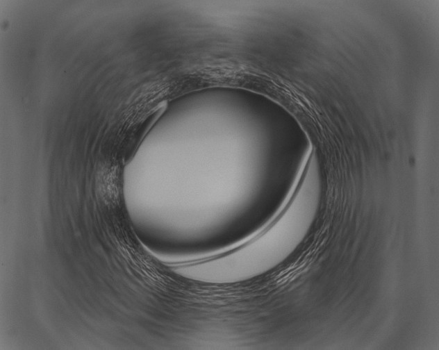 X0000087041156200704180930