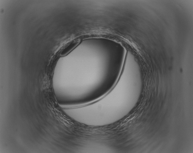 X0000087041160200704180930