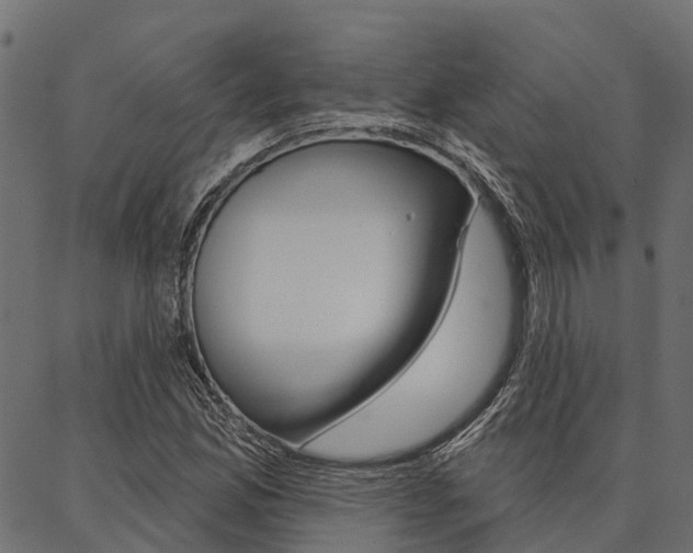 X0000087041165200704180930