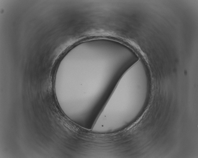 X0000087041167200704180930