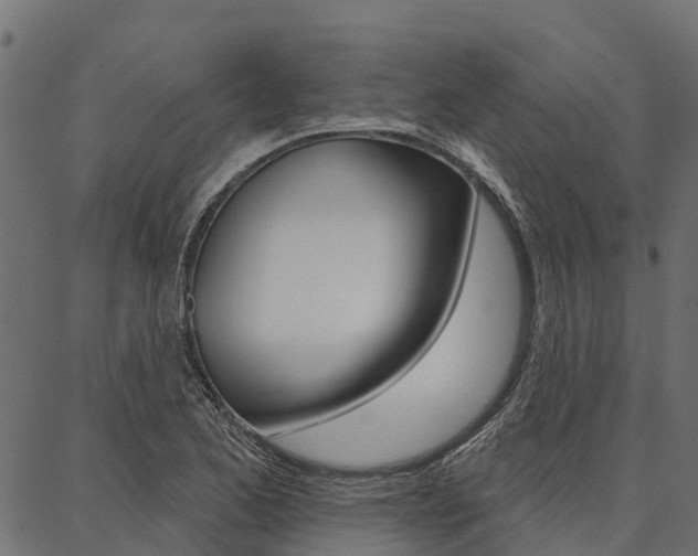 X0000087041173200704180930