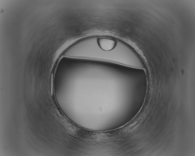X0000087041175200704180930