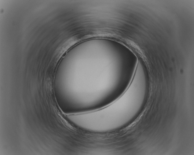 X0000087041177200704180930