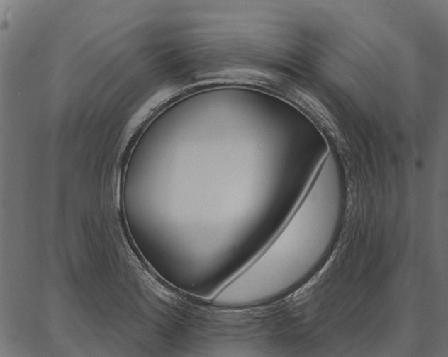 X0000087041180200704180930