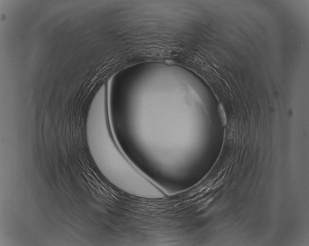 X0000087041202200704180928