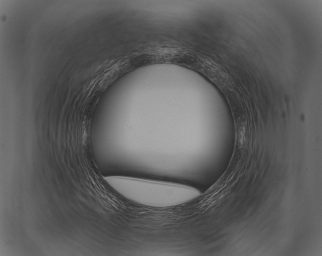 X0000087041204200704180928