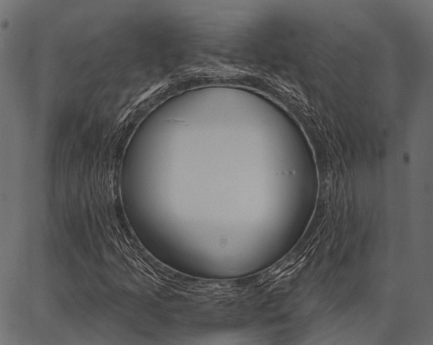 X0000087041205200704180928