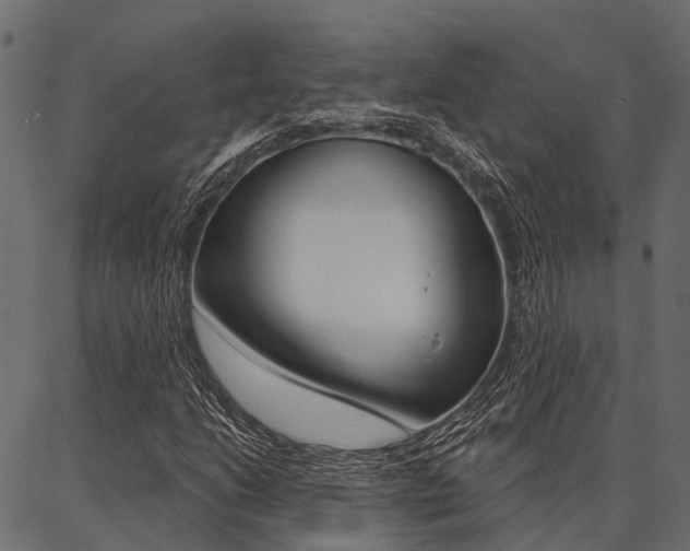 X0000087041206200704180928