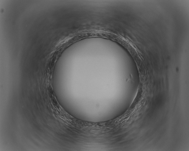 X0000087041207200704180929
