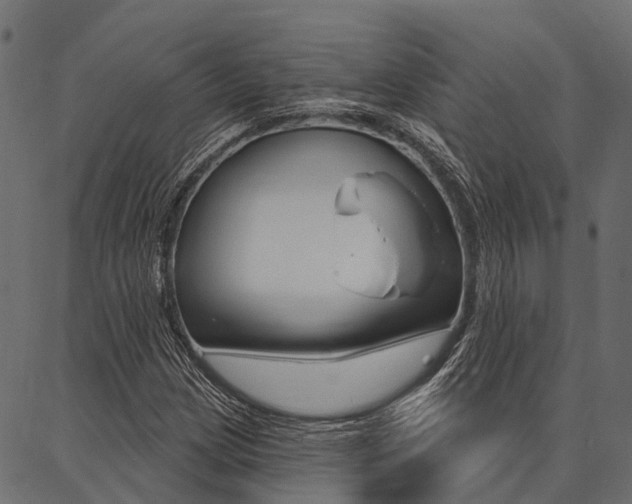 X0000087041209200704180929