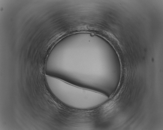 X0000087041217200704180929