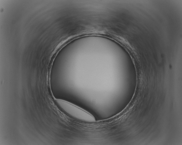 X0000087041220200704180929