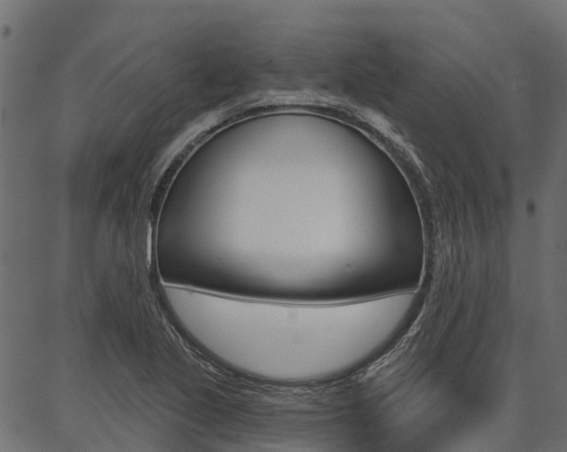 X0000087041221200704180929