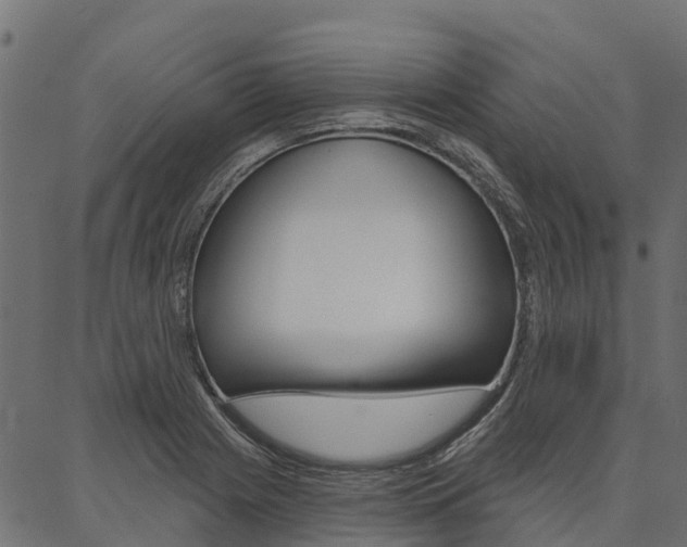 X0000087041225200704180929
