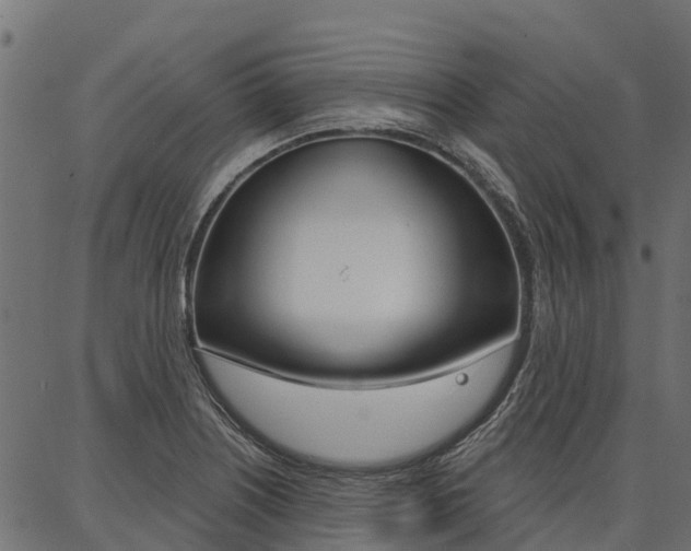 X0000087041226200704180929