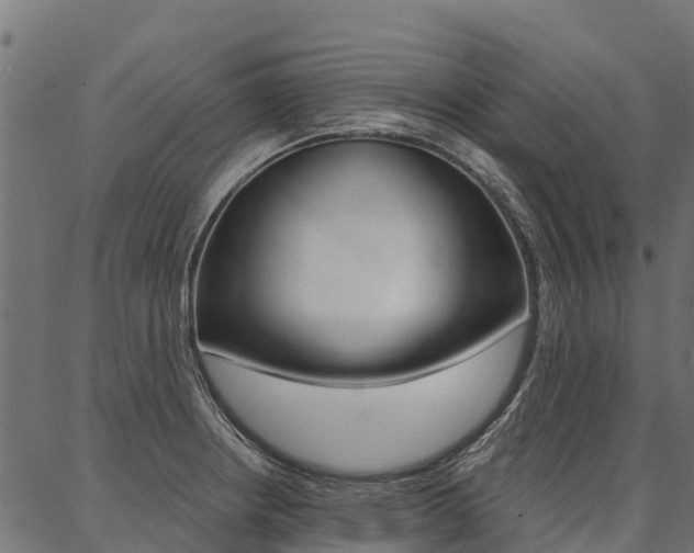 X0000087041234200704180929