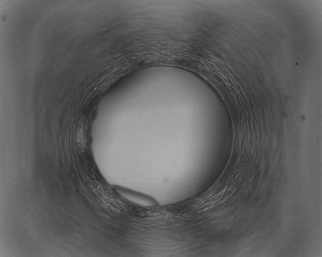 X0000087041250200704180928