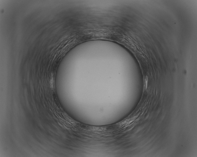 X0000087041251200704180928