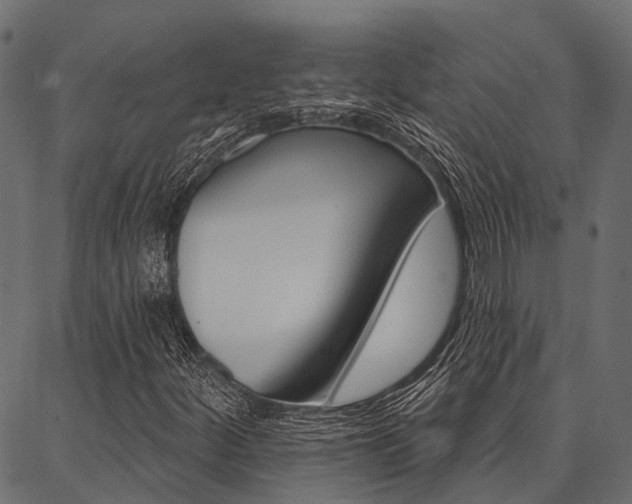 X0000087041252200704180928