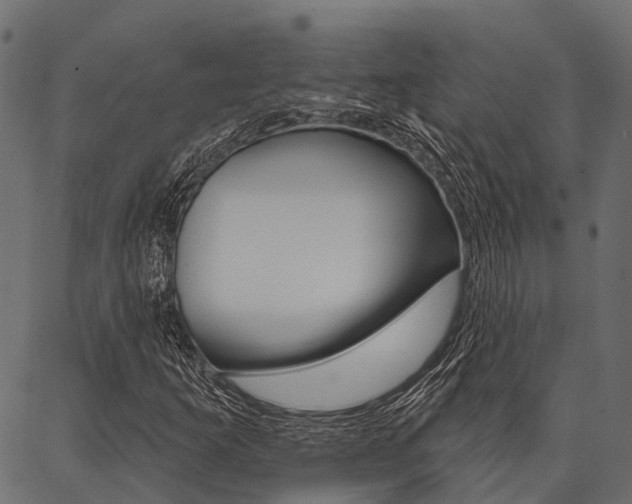 X0000087041253200704180928