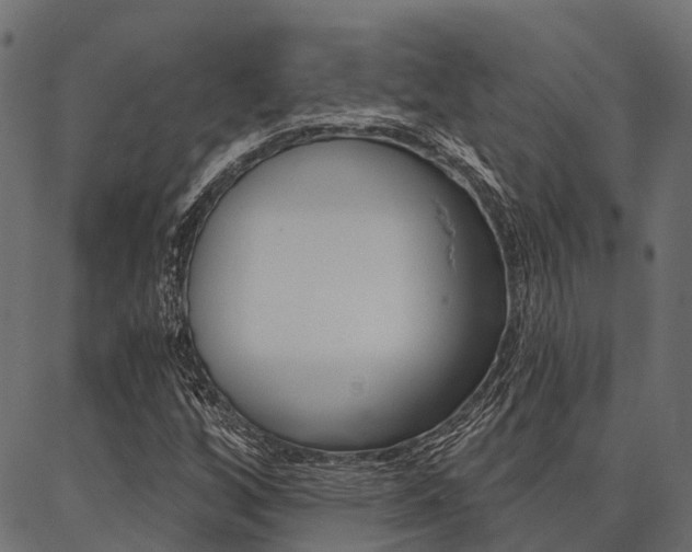 X0000087041256200704180928