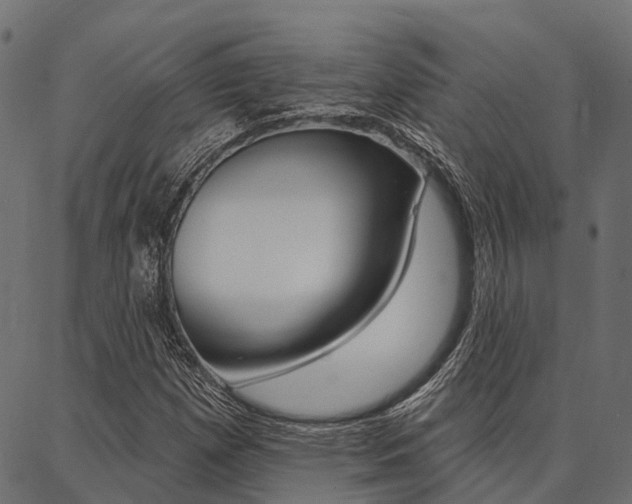 X0000087041257200704180928