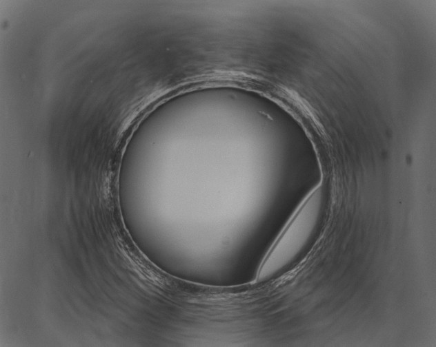 X0000087041260200704180928